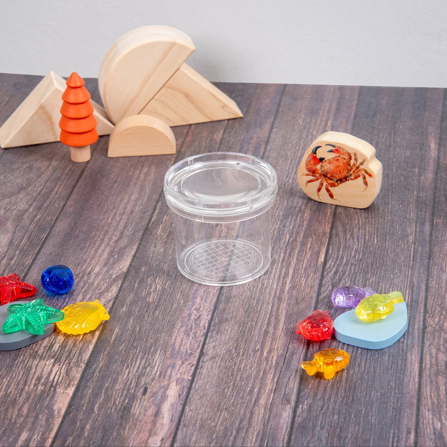 Transparentes Insektenglas