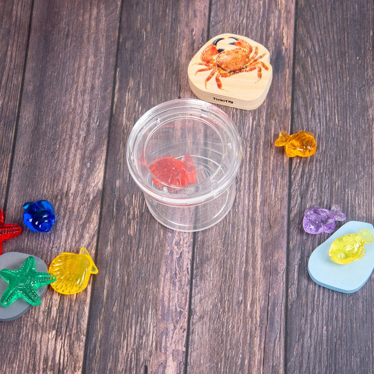 Transparentes Insektenglas