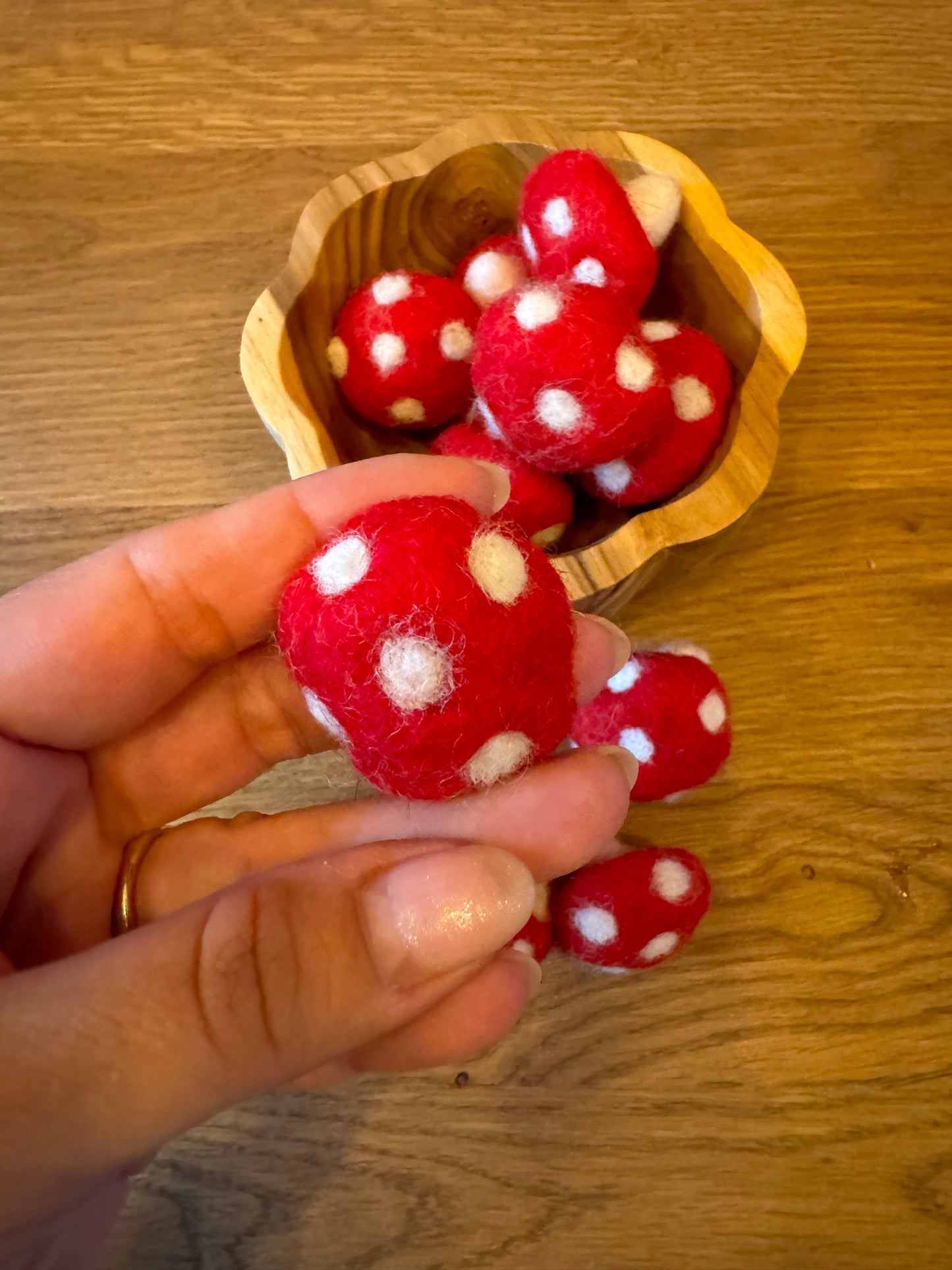 Pilz 2cm