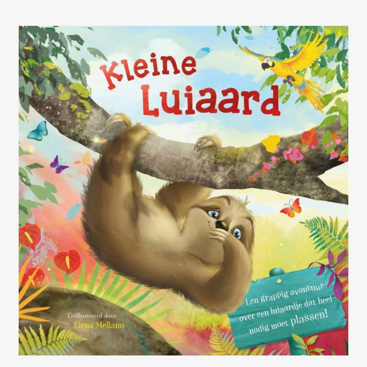 Kleines Faultier