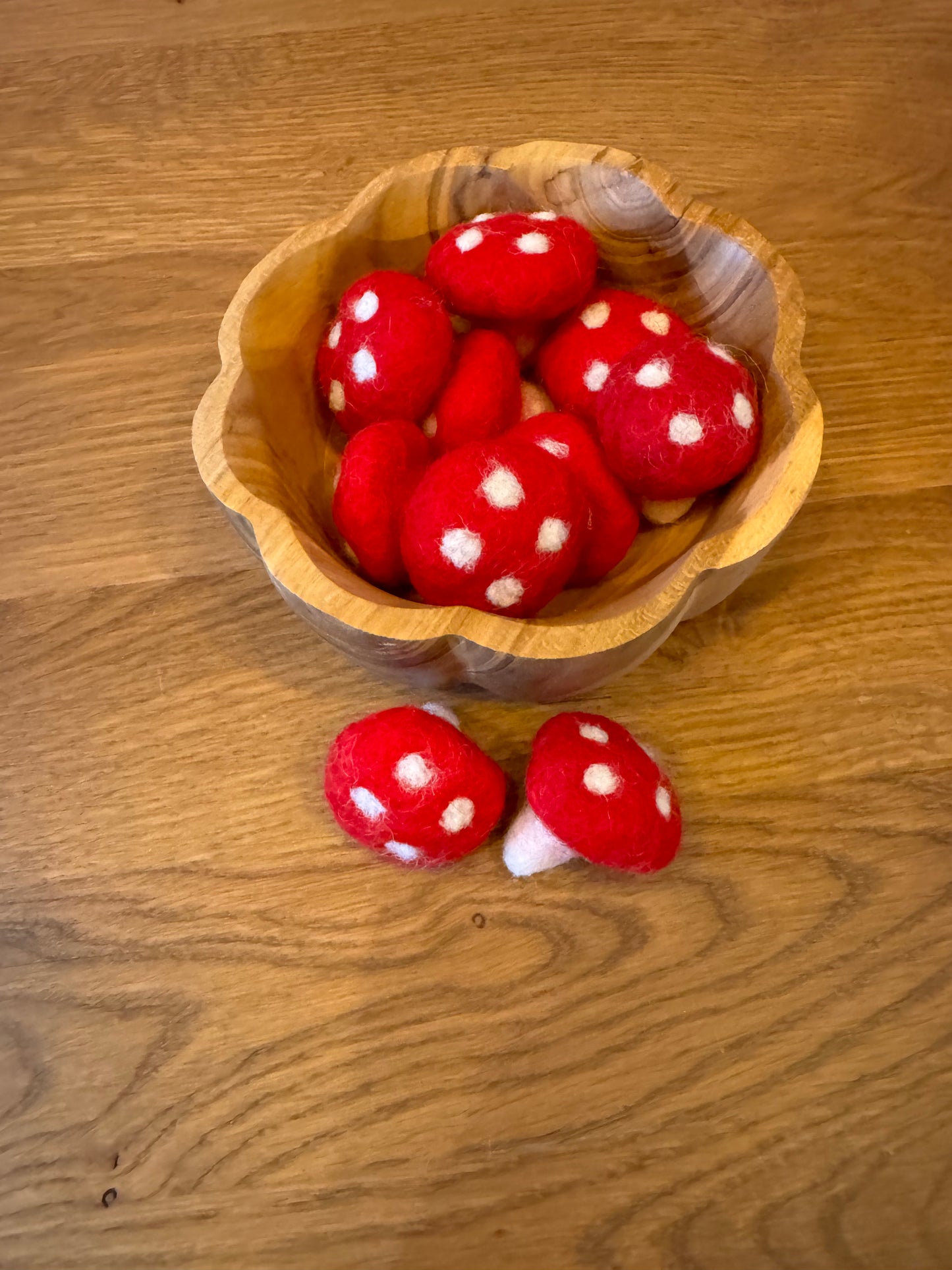 Pilz 3cm