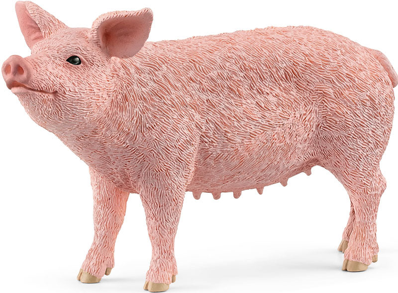 Ferkel Schleich