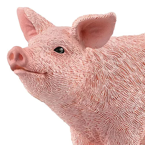 Ferkel Schleich