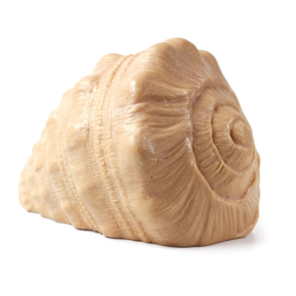 Play Shell – Grote Speelschelp