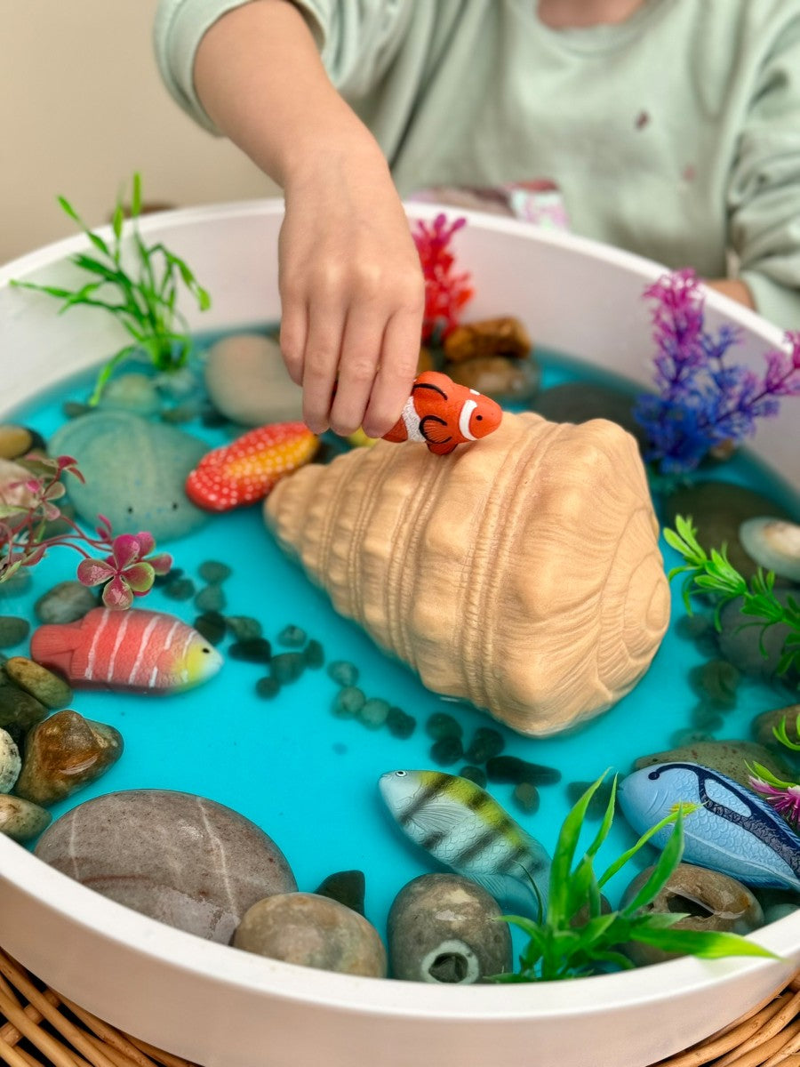 Play Shell – Grote Speelschelp