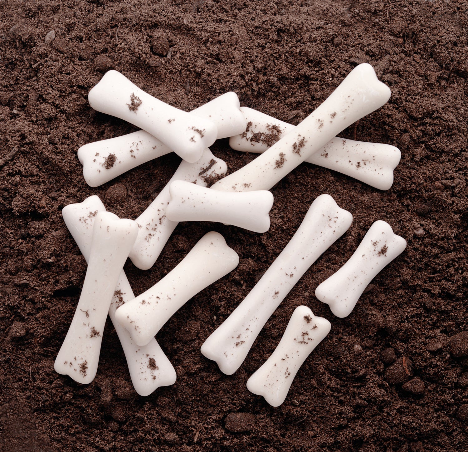 Yellow Door - Dino-Knochen-Set - 12-teilig