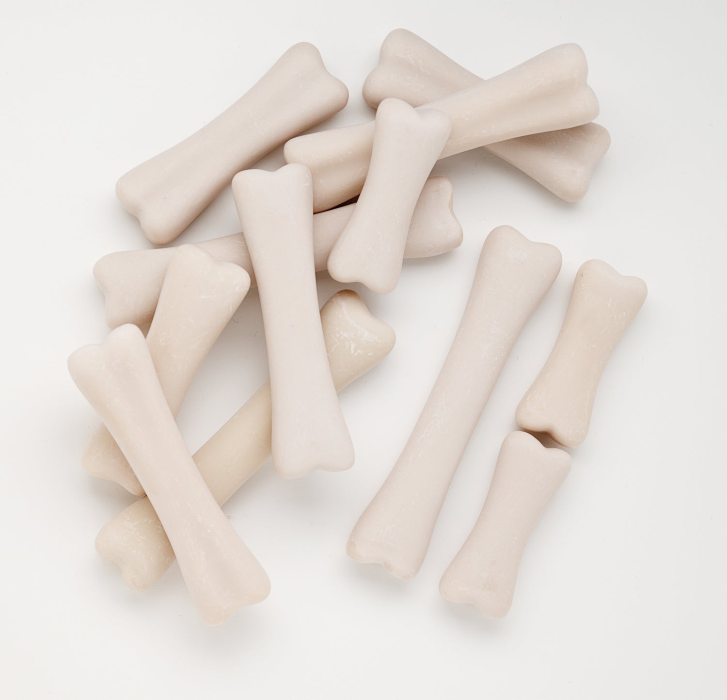 Yellow Door - Dino-Knochen-Set - 12-teilig