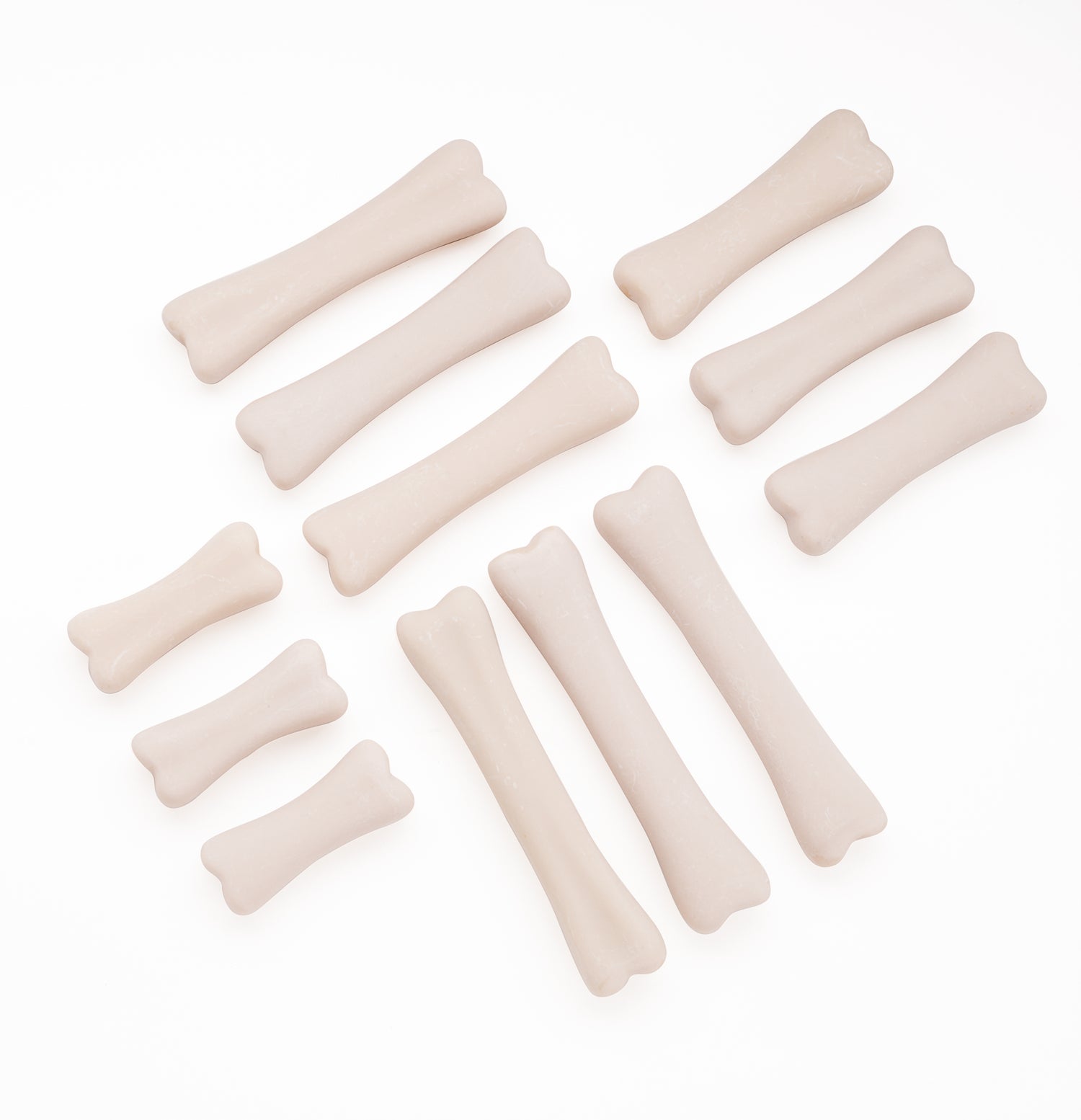 Yellow Door - Dino-Knochen-Set - 12-teilig