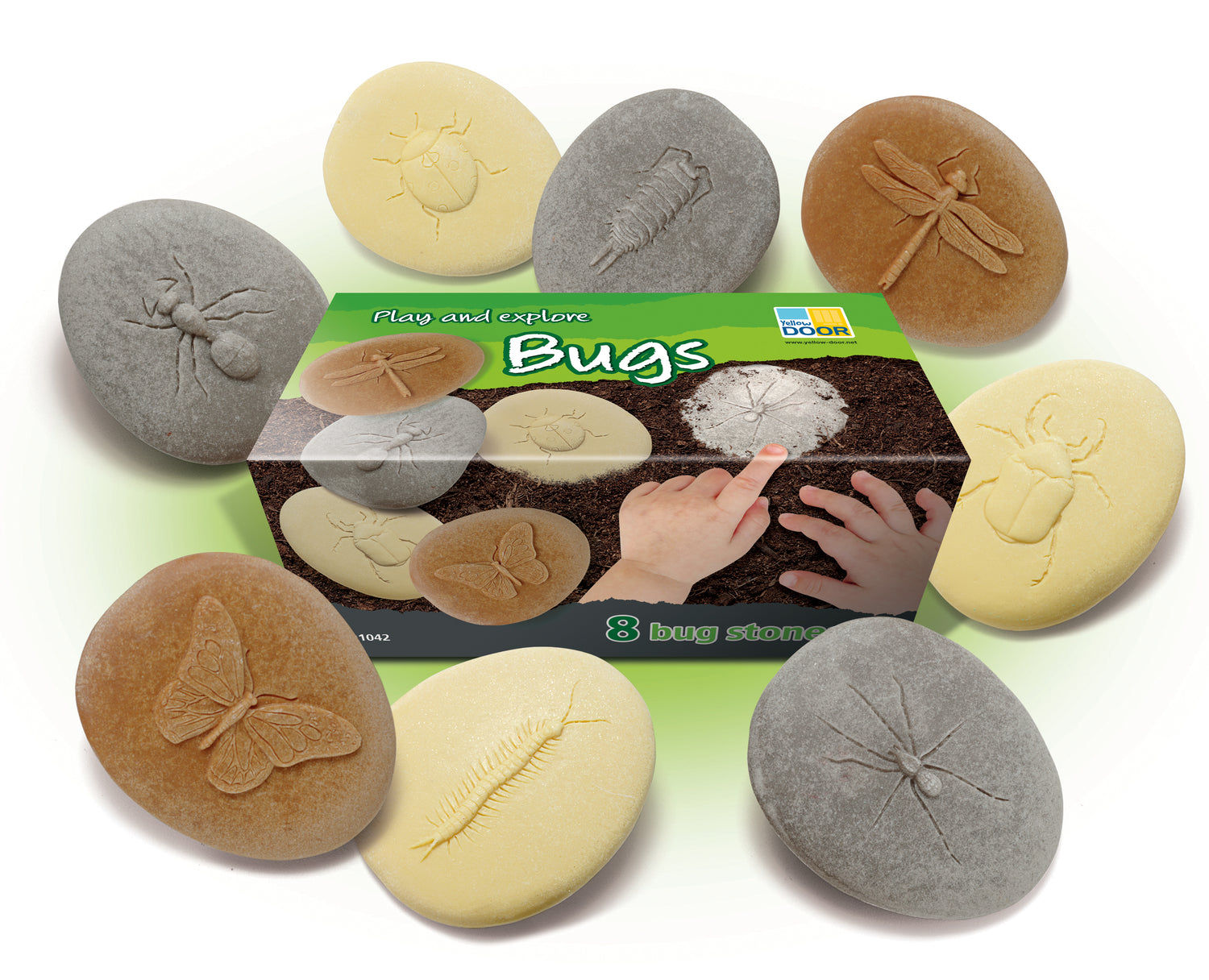 Lasst uns untersuchen | Insekten