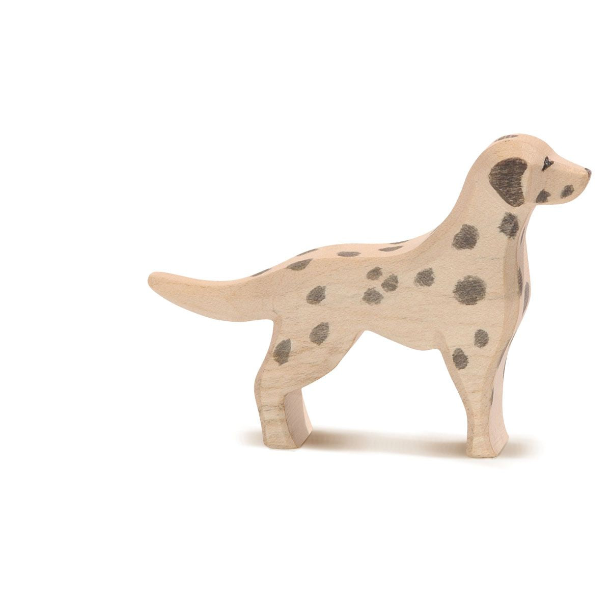 Ostheimer – Dalmatiër | 10511