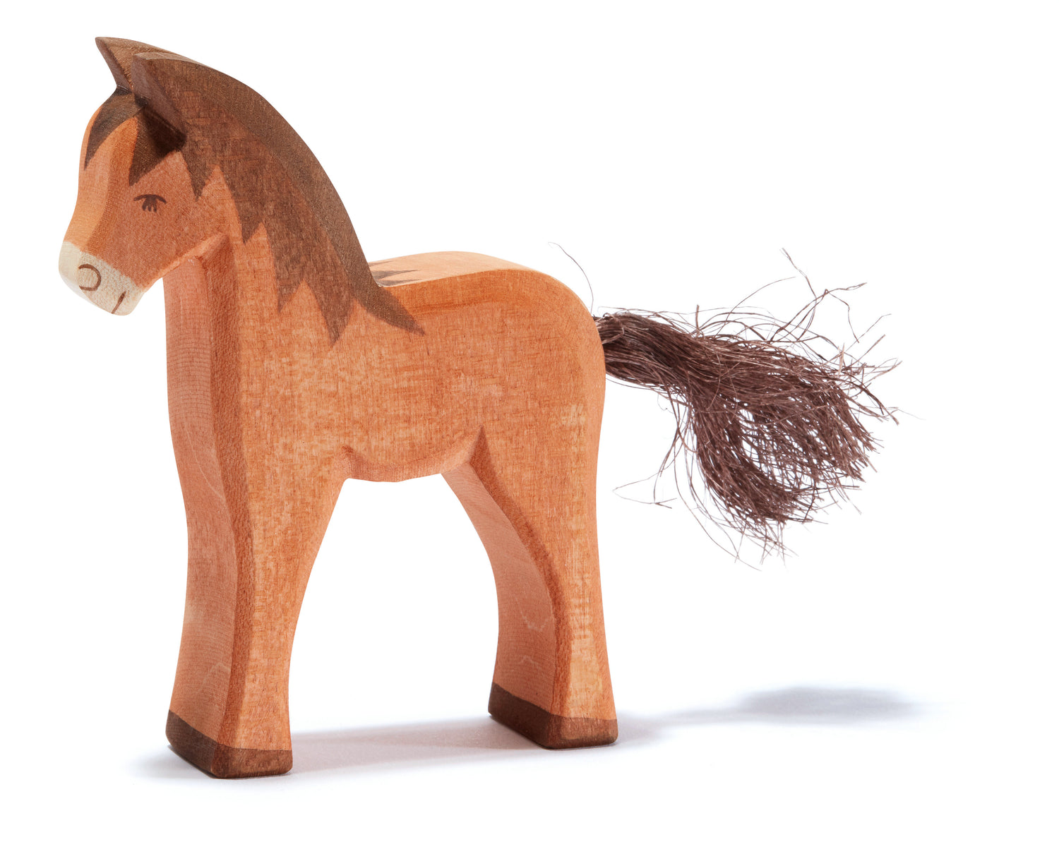 Ostheimer – Veulen bruin | 11114