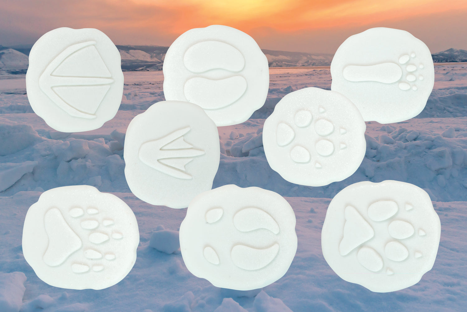 Lasst uns untersuchen – Polar