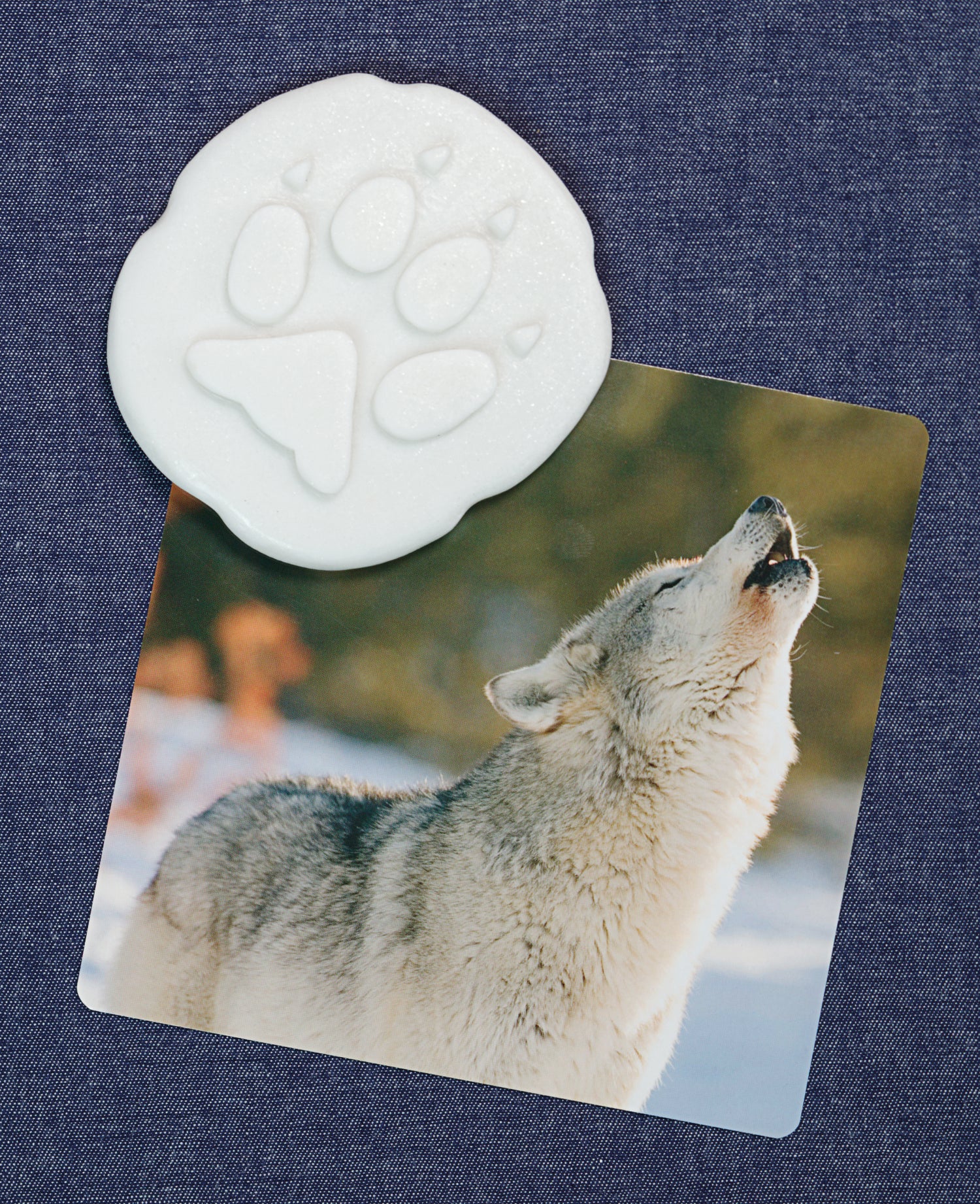 Lasst uns untersuchen – Polar