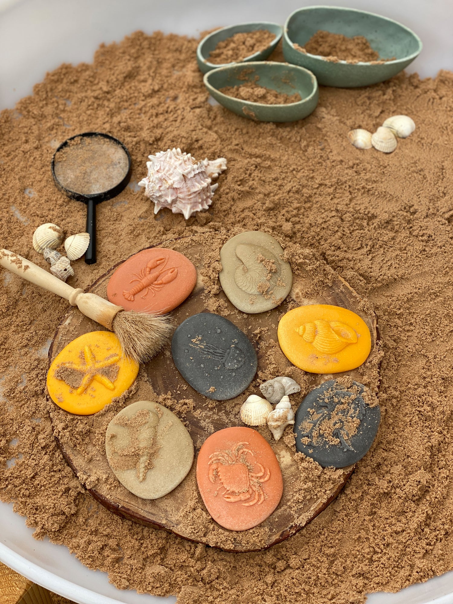 Lasst uns untersuchen – Meeresküste