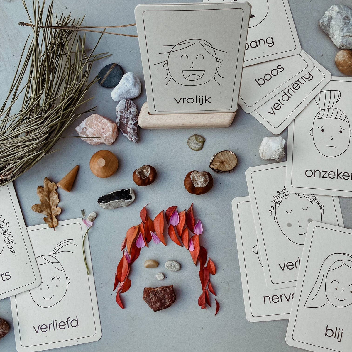 Lernkarten zu Emotionen - Montessori-Spielzeug