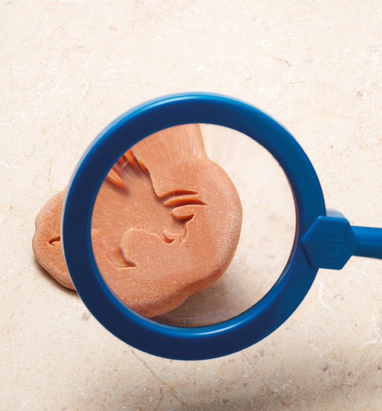 Lasst uns untersuchen – Dinosaurier-Fußabdrücke