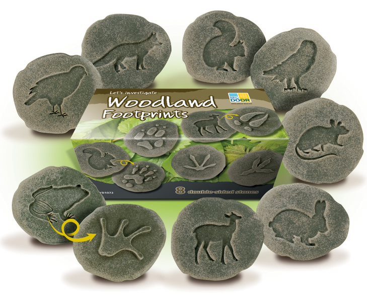 Lasst uns untersuchen – Woodland