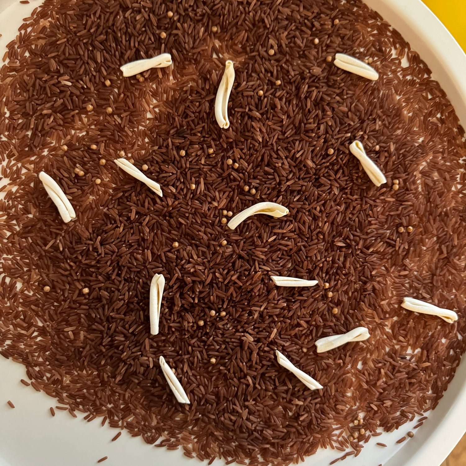 Chaotischer Spielmix – Dino-Ausgrabungen