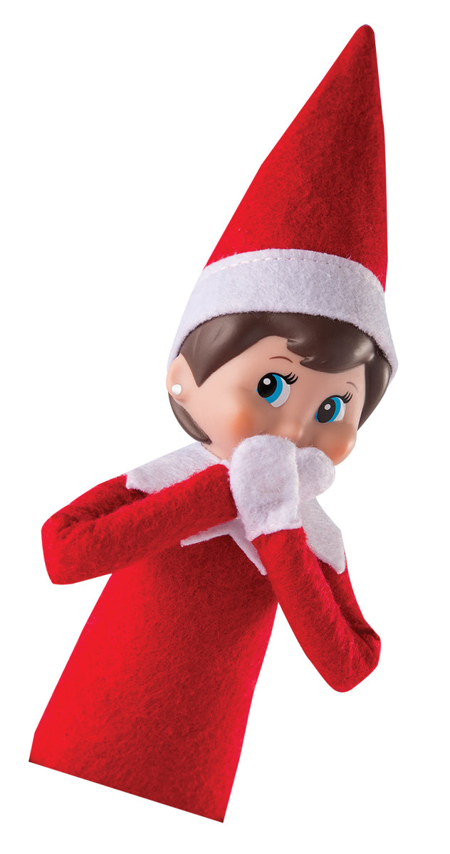 Elf on the Shelf – Buch und Elf (Niederländisch)