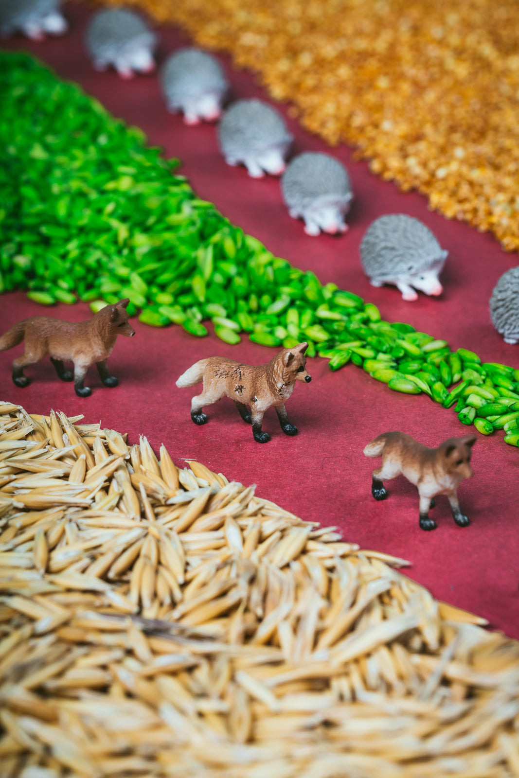 Sensorische Flasche – Wald (Flasche finden)