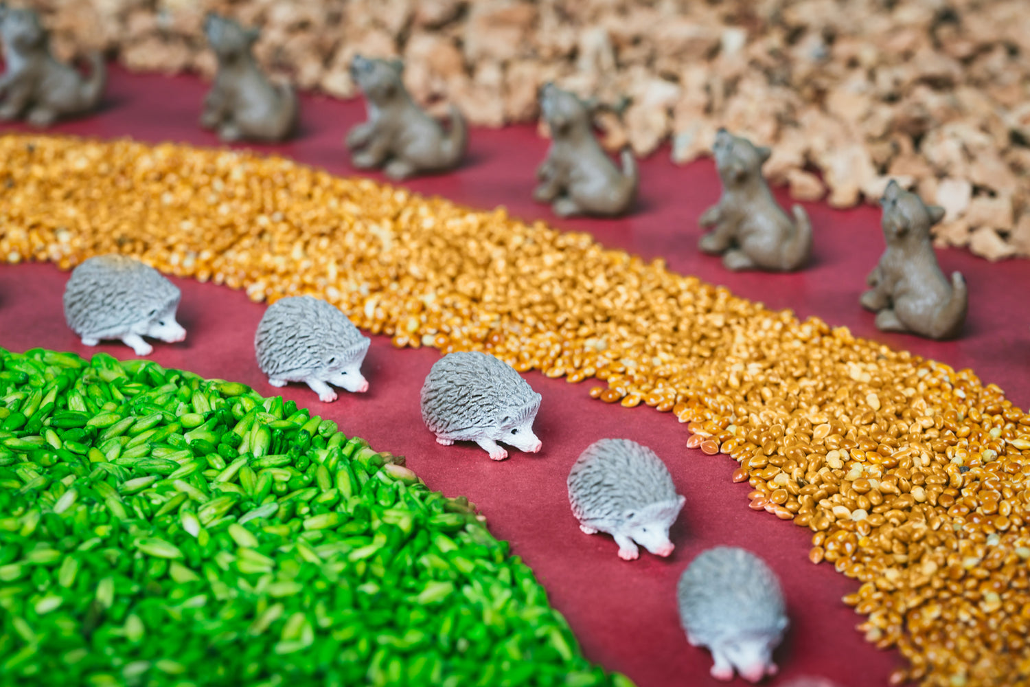 Sensorische Flasche – Wald (Flasche finden)