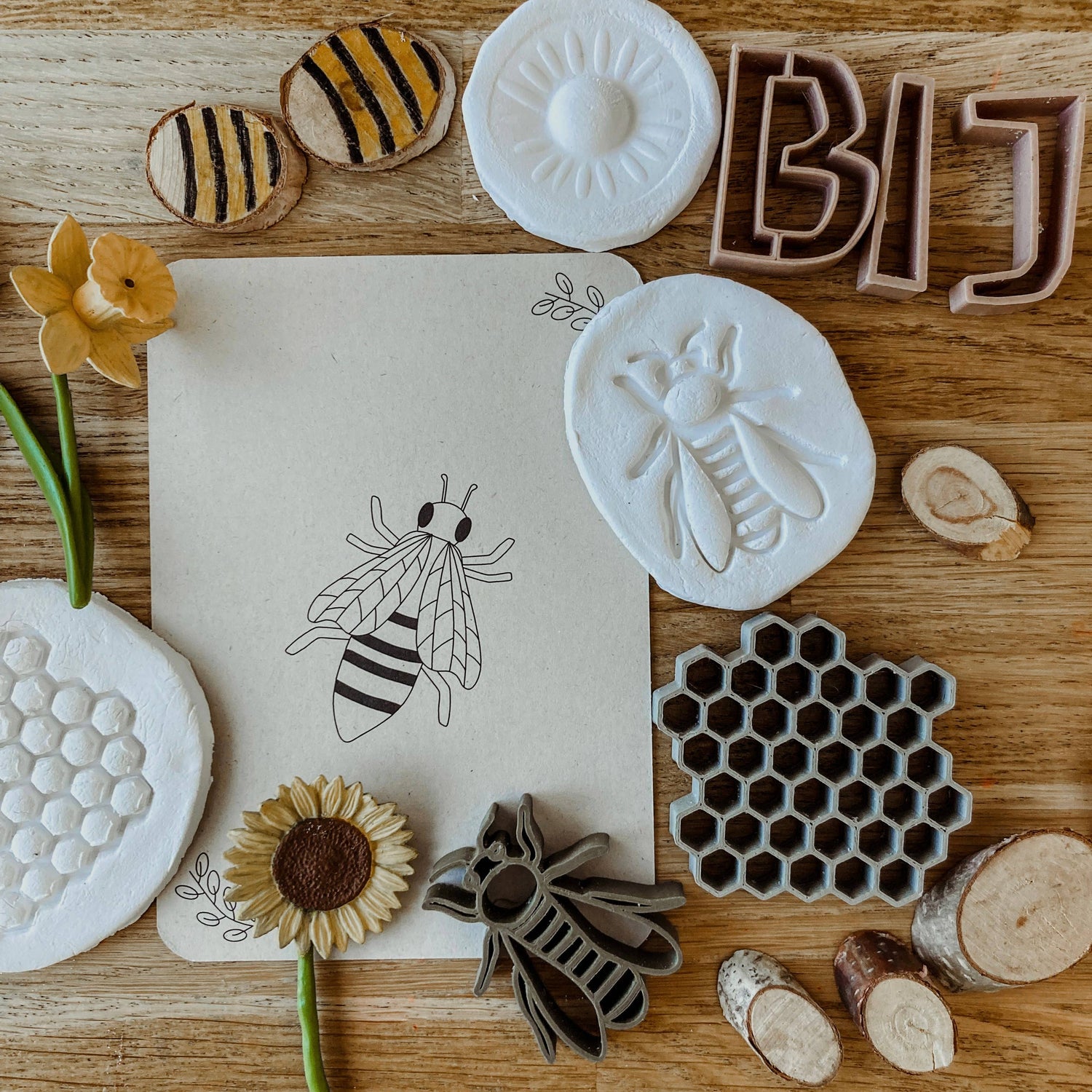 Lernkarten zum Lebenszyklus bei - Lernspielzeug - Lebenszyklus