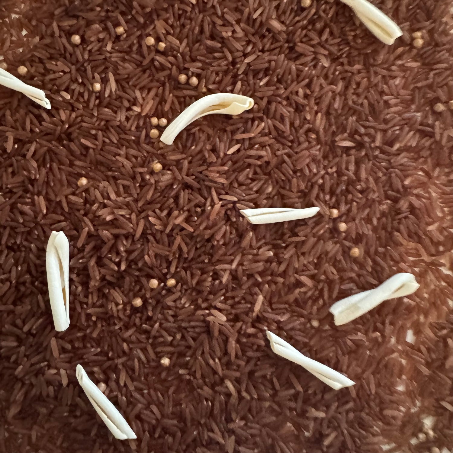 Chaotischer Spielmix – Dino-Ausgrabungen