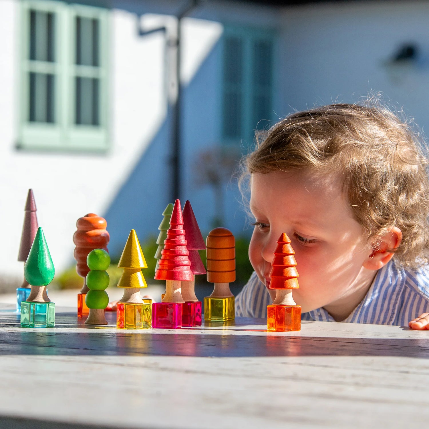 Seizoensgebonden bosbomen