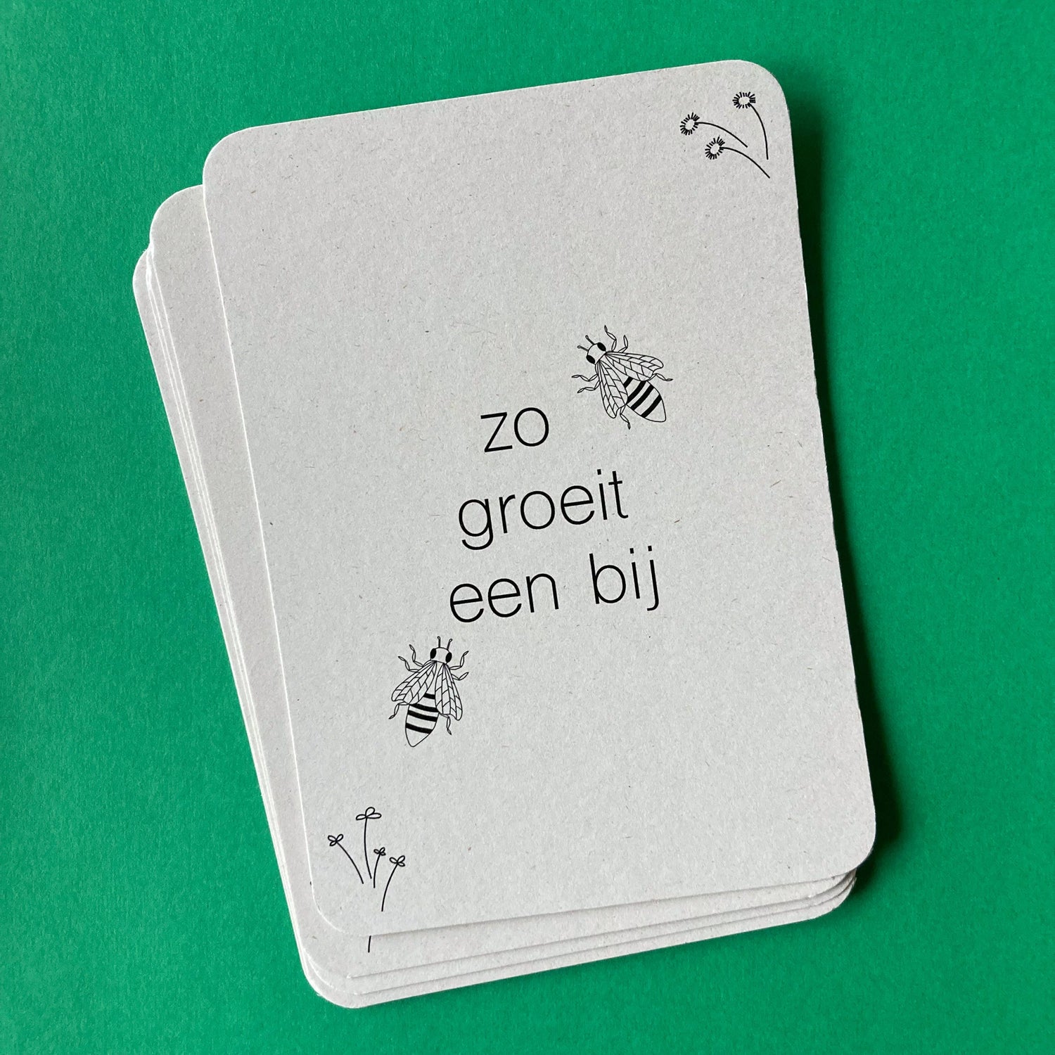 Lernkarten zum Lebenszyklus bei - Lernspielzeug - Lebenszyklus