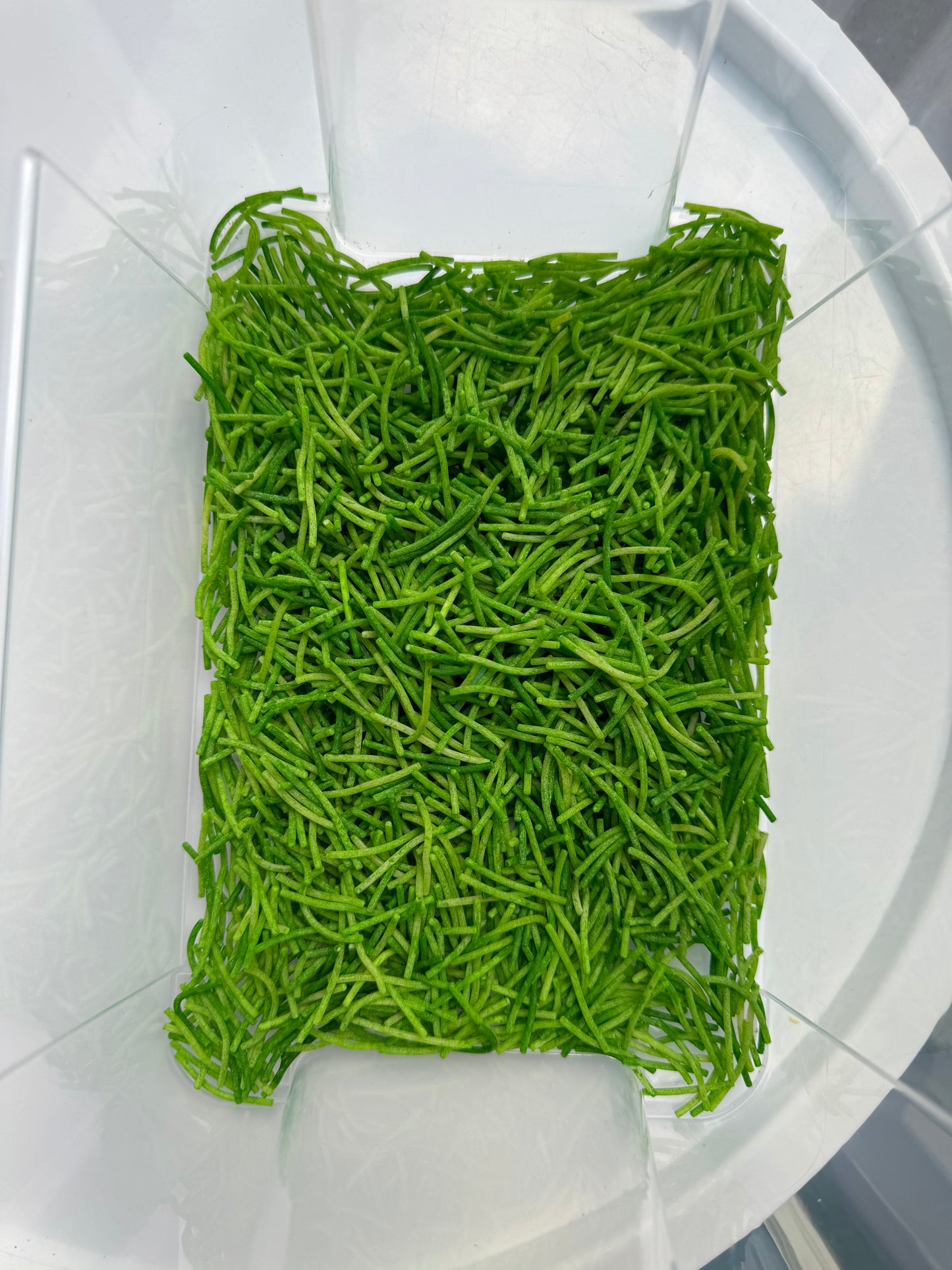 Gras Speelmix