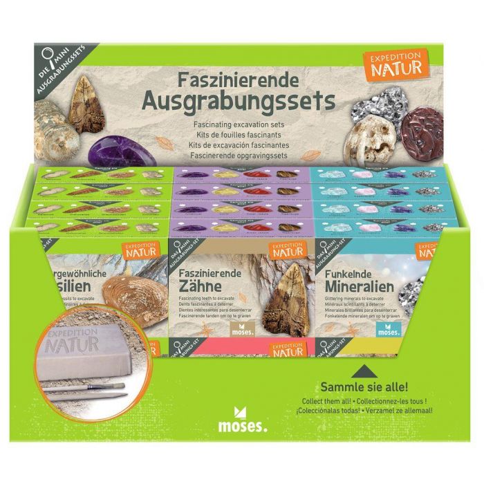 Mini uithaksetjes voor kinderen - haaientanden, mineralen & fossielen