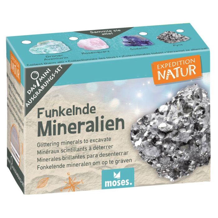 Mini uithaksetjes voor kinderen - haaientanden, mineralen & fossielen