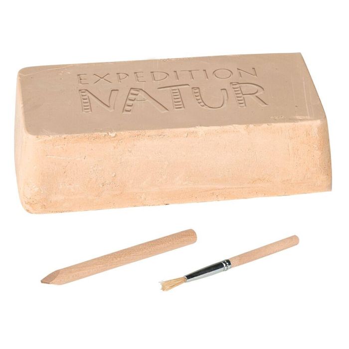 Mini uithaksetjes voor kinderen - haaientanden, mineralen & fossielen