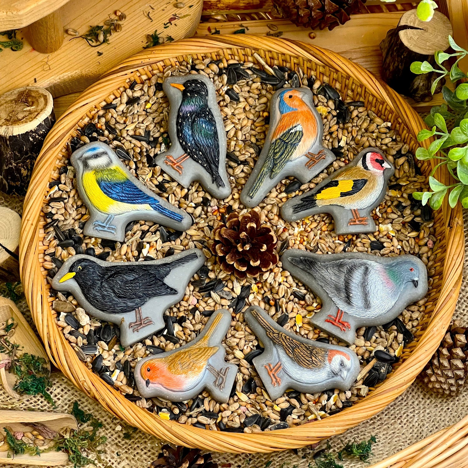 Sensorische Spielsteine ​​| Vögel