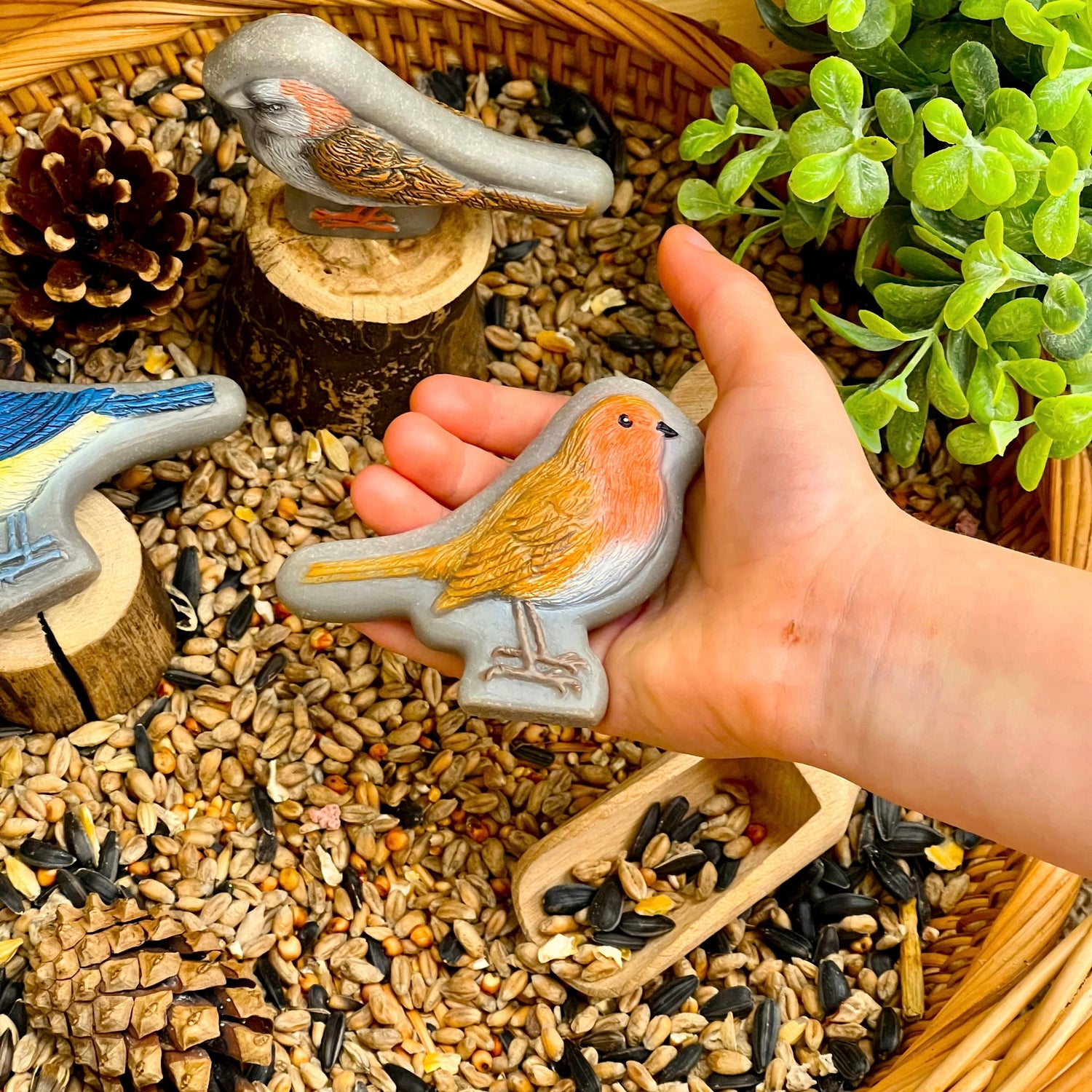 Sensorische Spielsteine ​​| Vögel