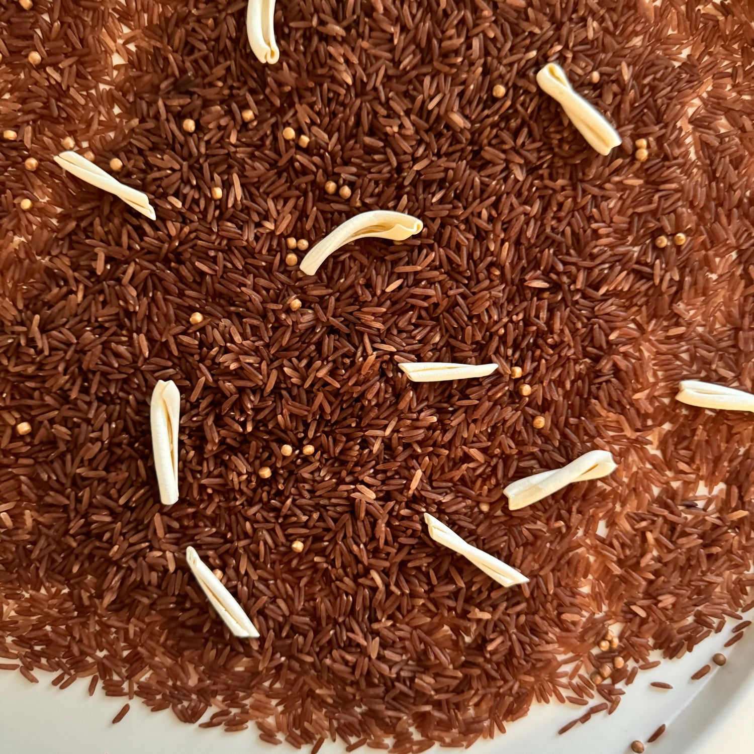 Chaotischer Spielmix – Dino-Ausgrabungen