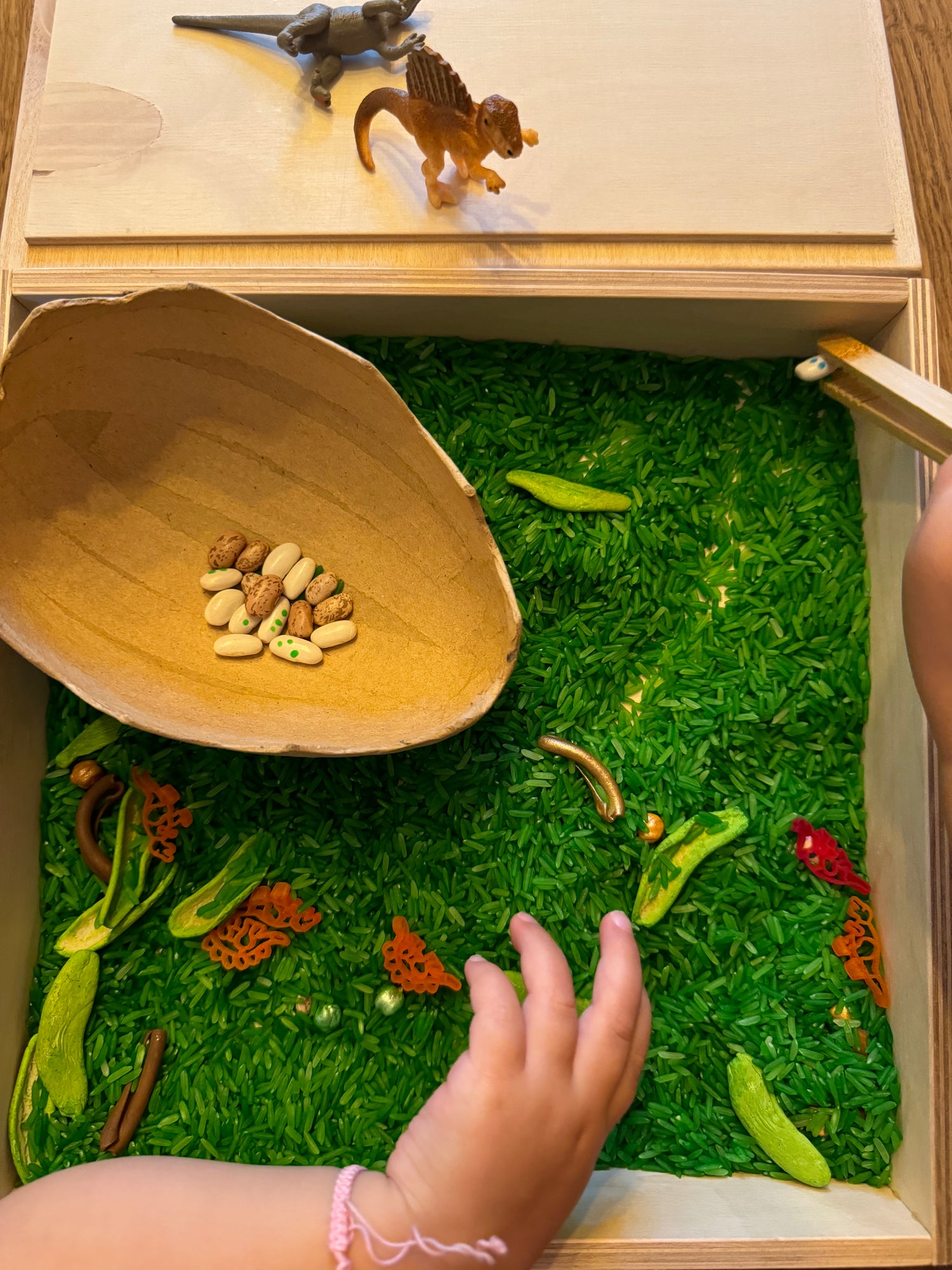 Dino-Ei - Karton - 1 Stück