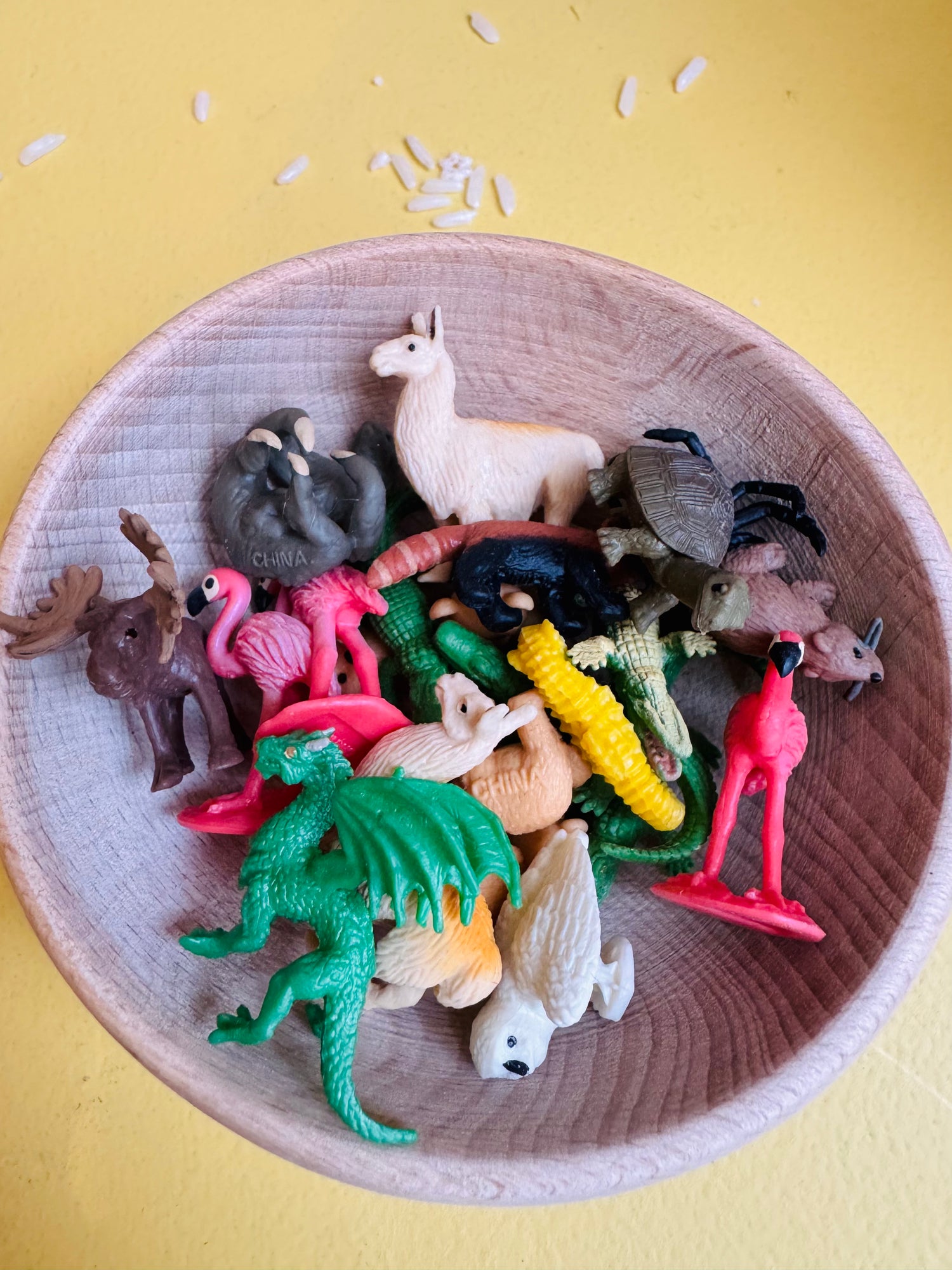 Good Luck Mini's - wisselend Aanbod