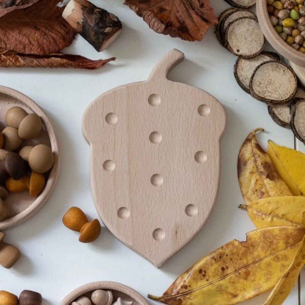 Herfst bord / fijne motoriek