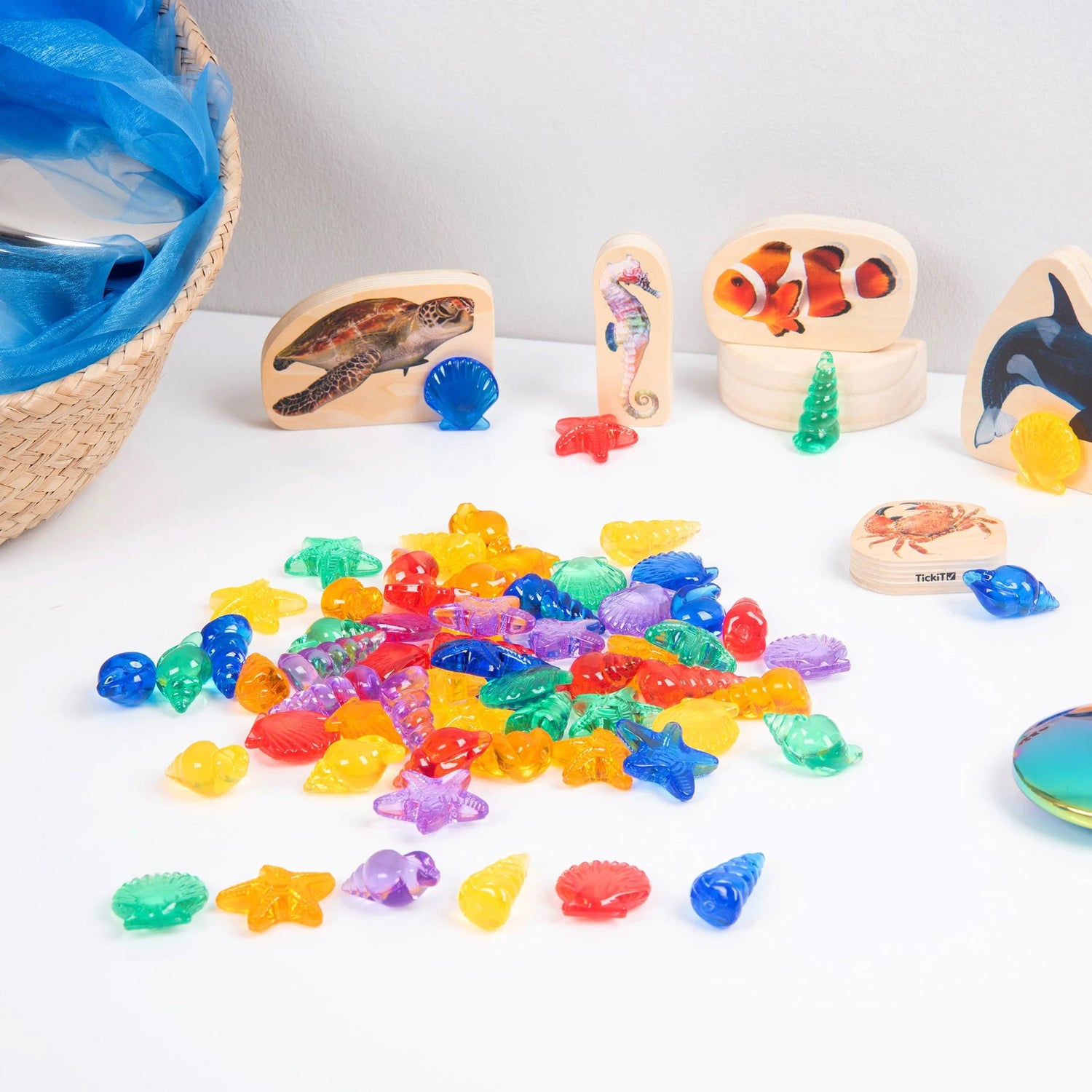 Transparente farbige Muscheln - 72 Stück