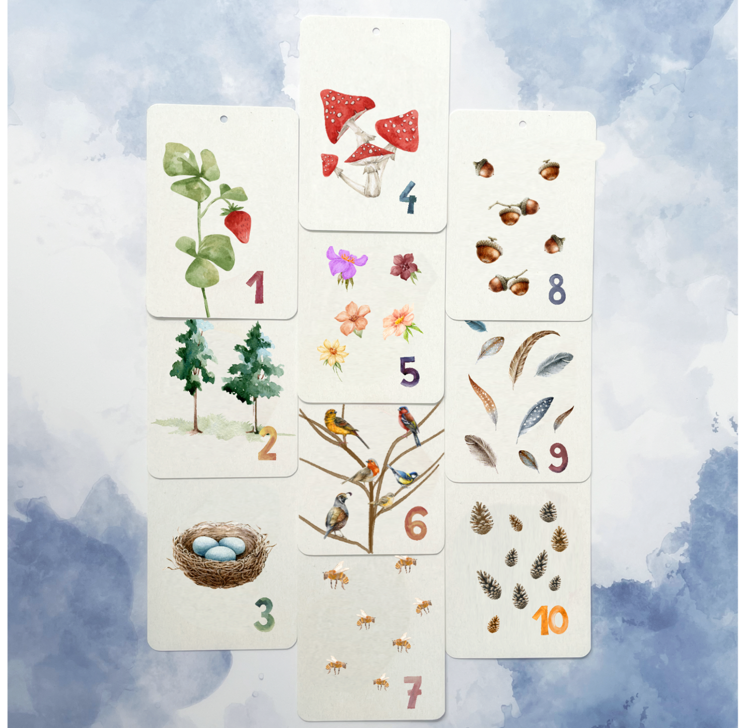 In einem Flashcard-Miniset Naturzählen