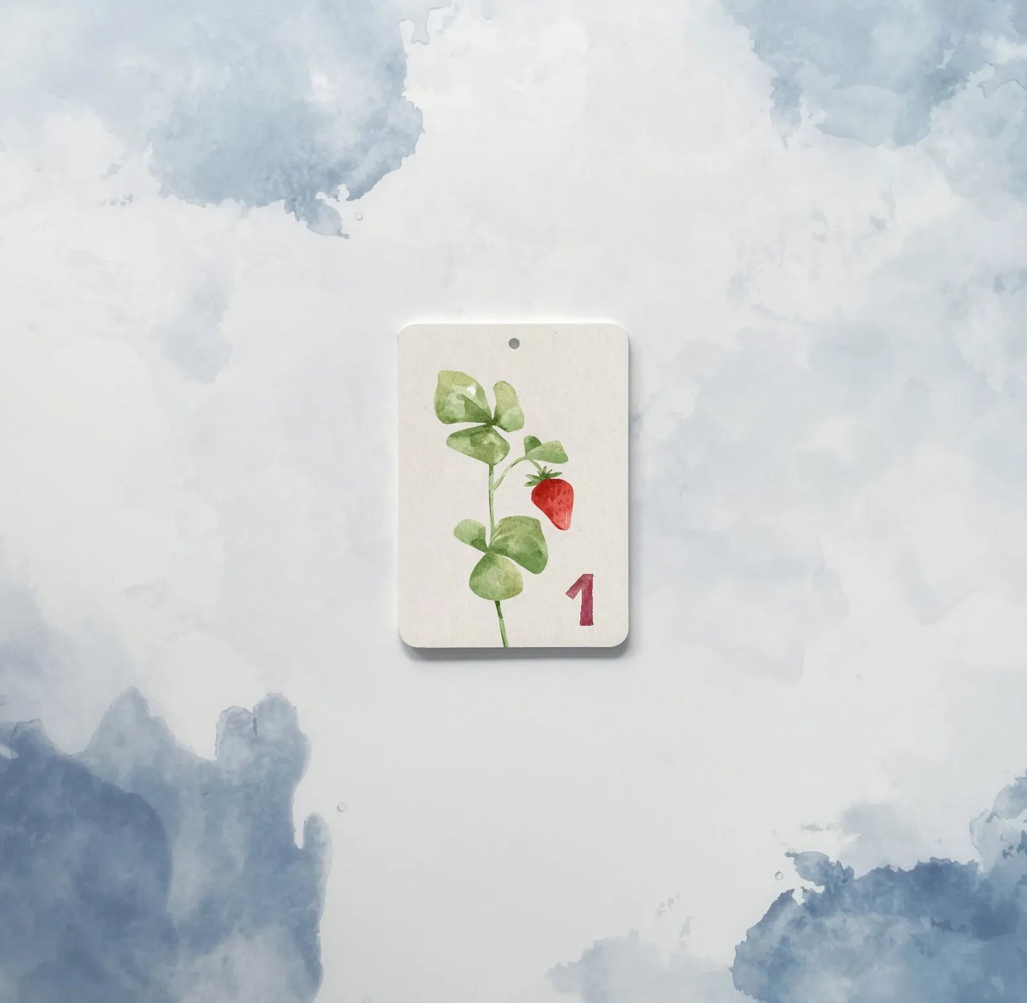 In einem Flashcard-Miniset Naturzählen