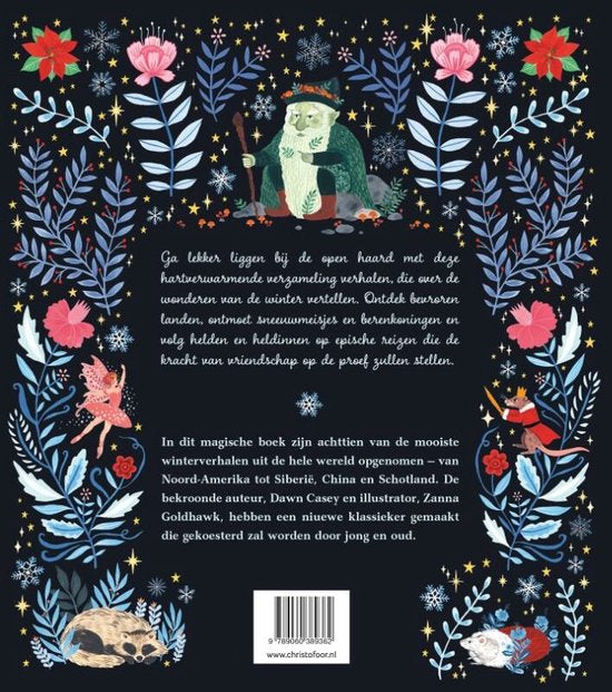 Wintergeschichten | Buch