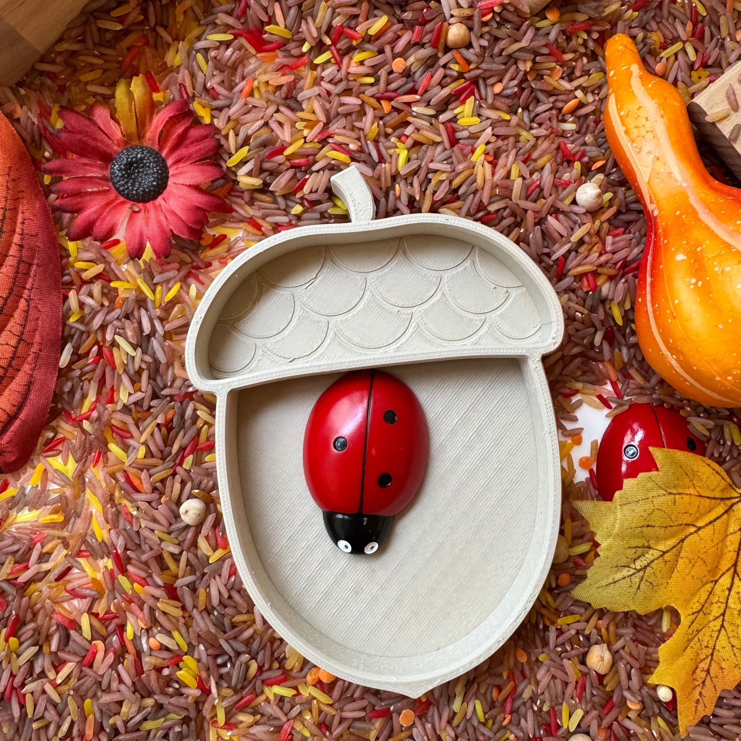 Eikeltje Vulvorm (14x10)