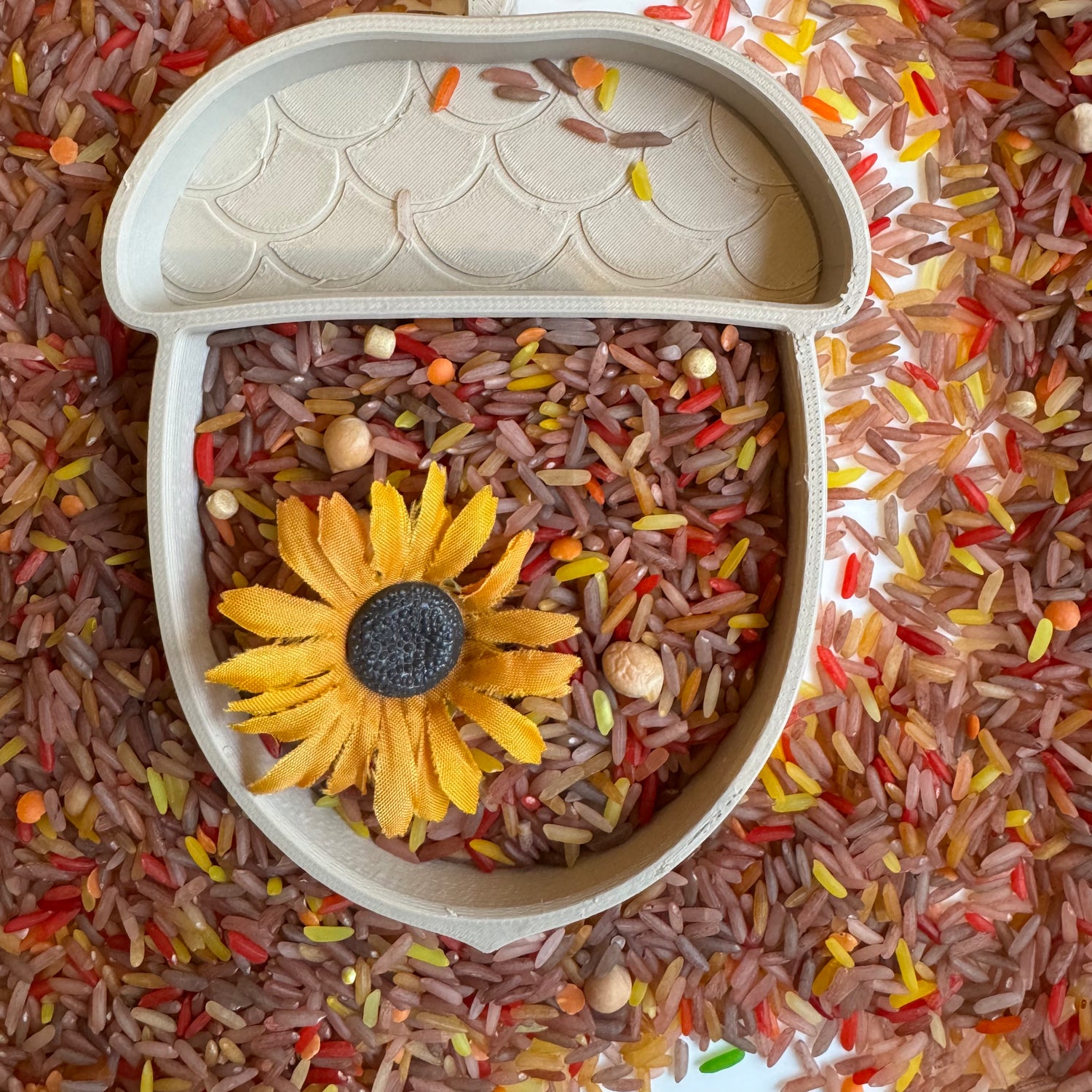 Eikeltje Vulvorm (14x10)