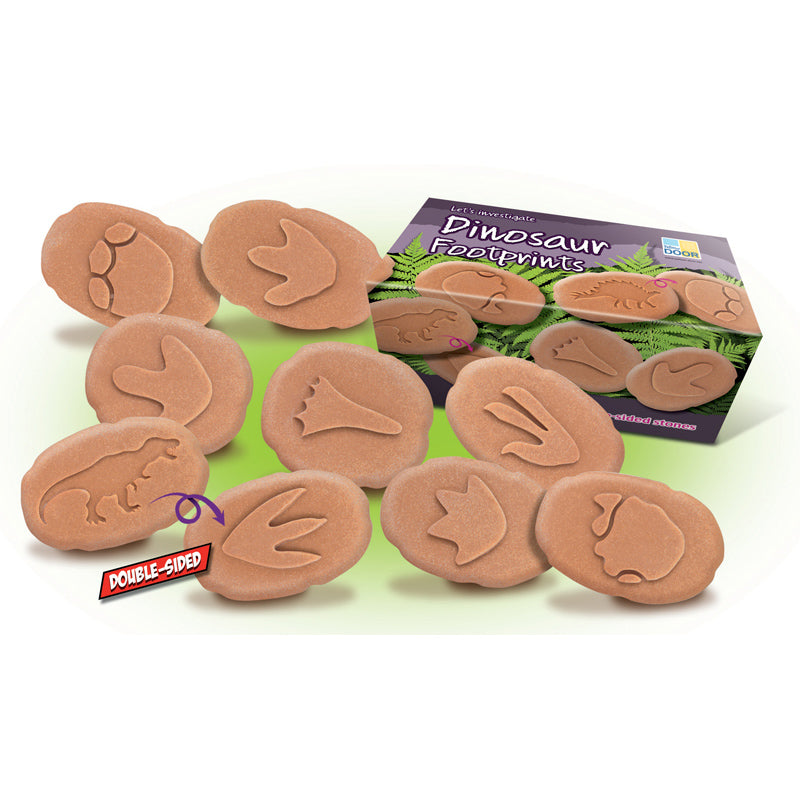 Lasst uns untersuchen – Dinosaurier-Fußabdrücke