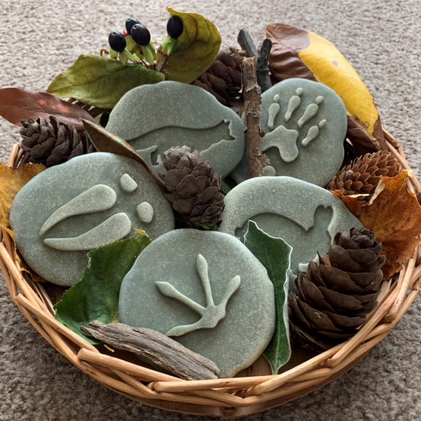 Lasst uns untersuchen – Woodland