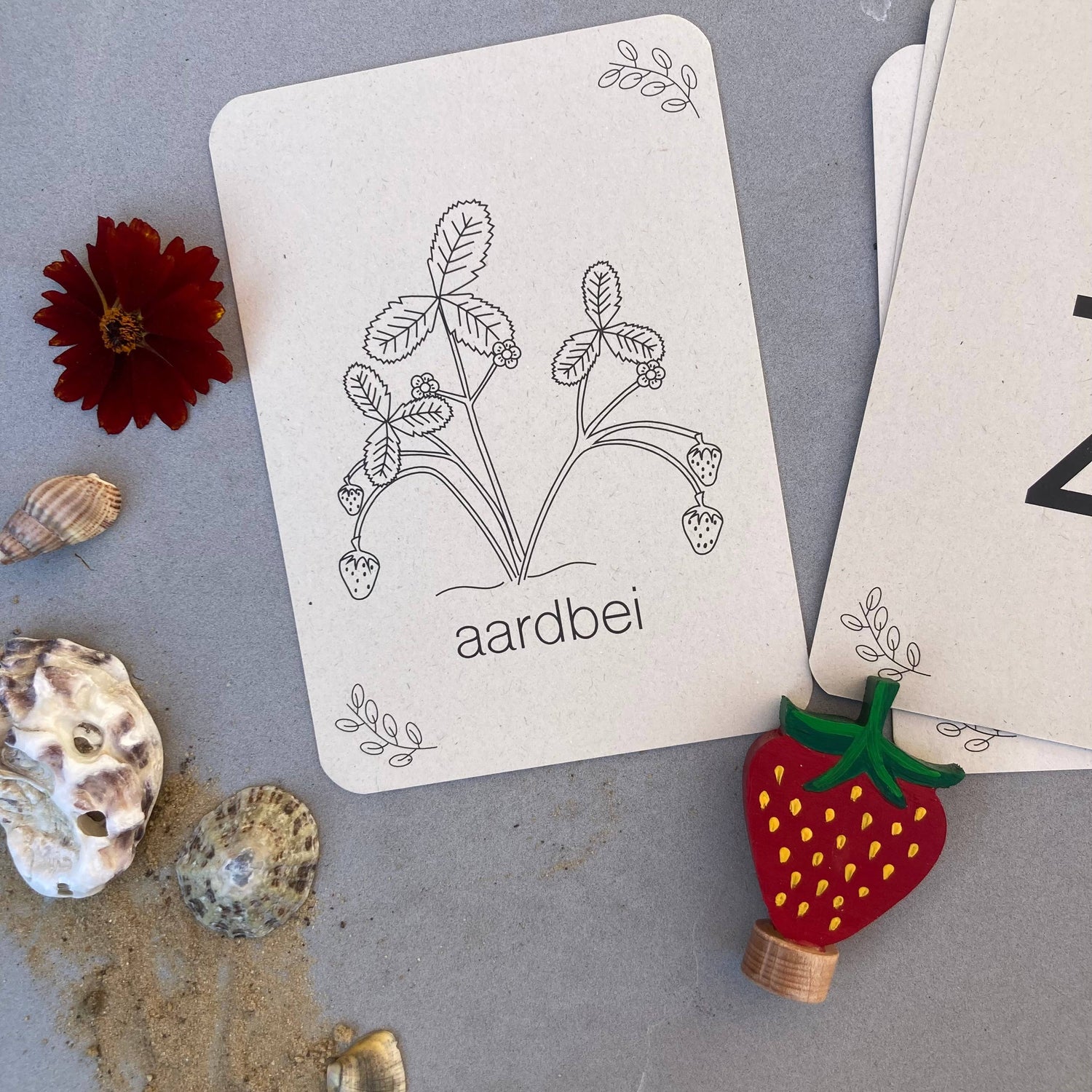 Sommer-Lernkarten - Lernspielzeug - Montessori