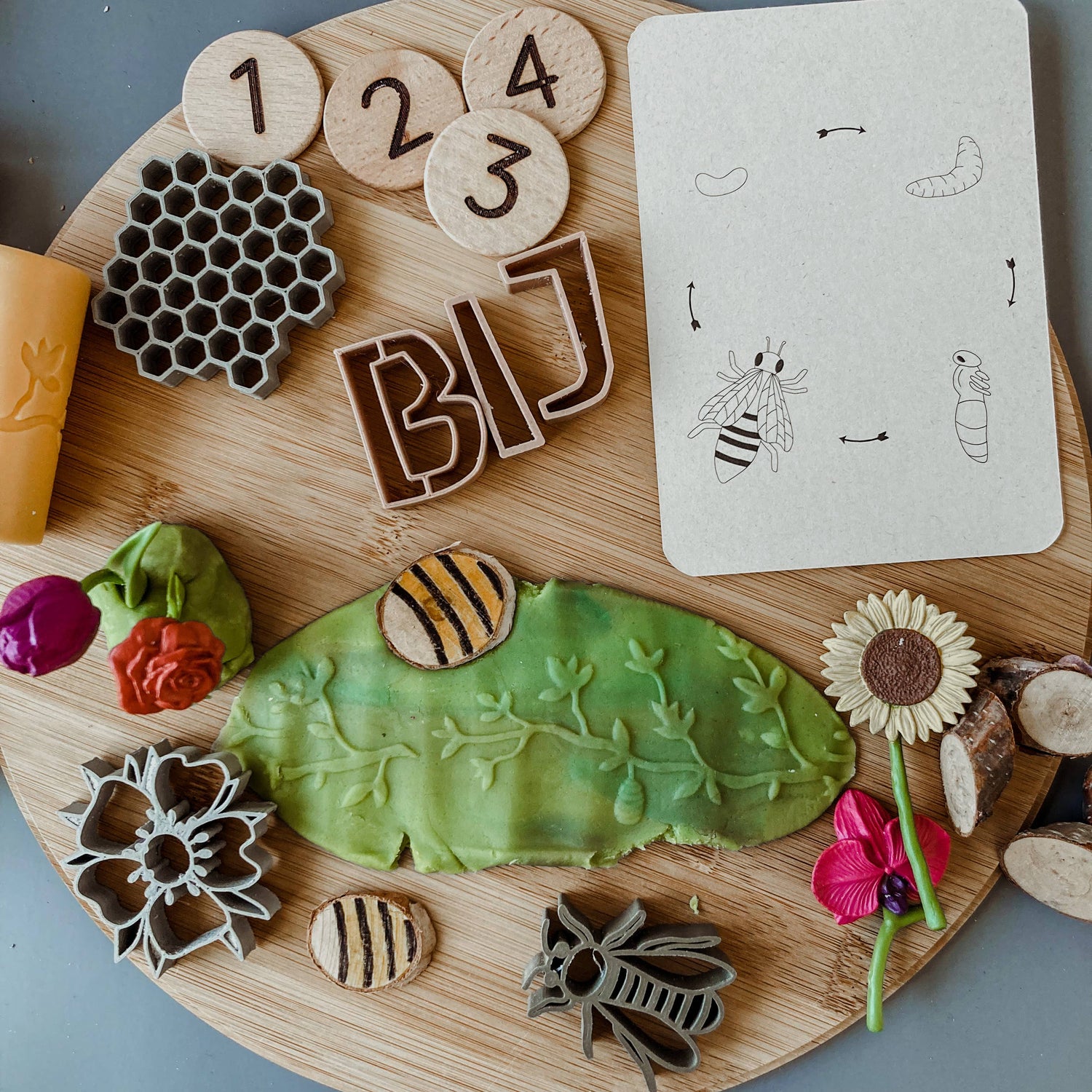 Lebenszyklus-Karteikarten Biene/Marienkäfer/Blumen - Bildung