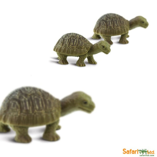 Good Luck Mini - Schildpad